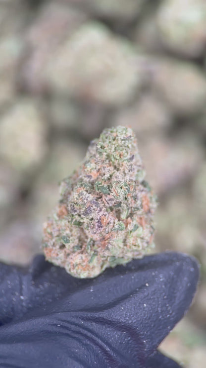 GUAVA COOKIES