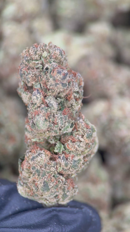 BLUEBERRY SODA
