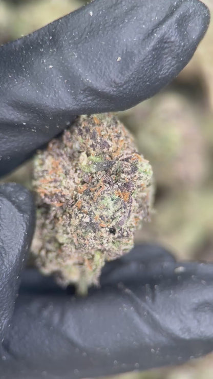 PURPLE MILK