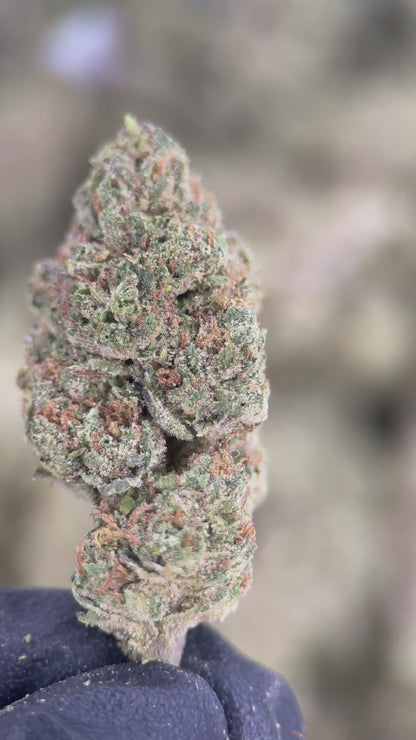 SUPER CANDIES