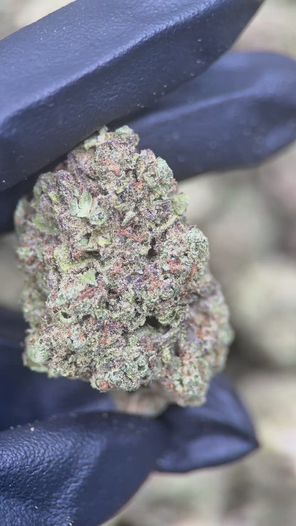 GELATO CAKE