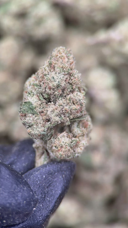 COSMIC CANDY