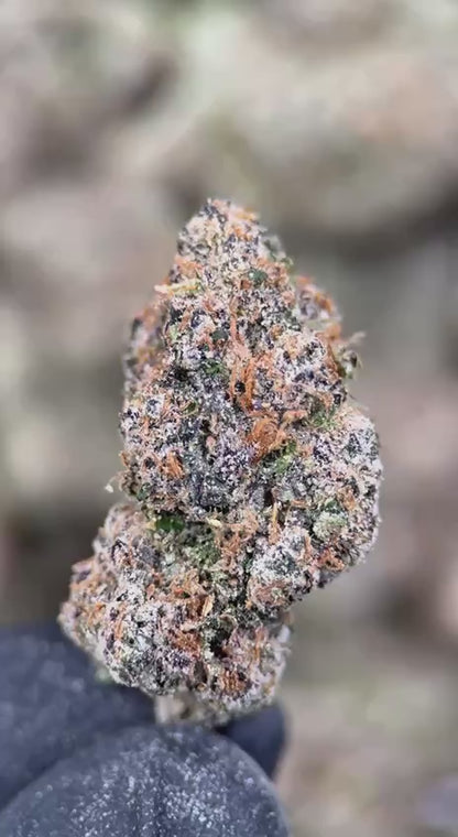 RARE KANDIES