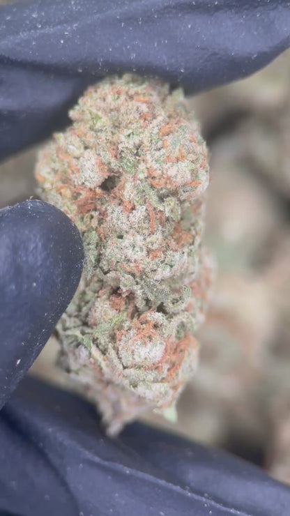 CRUNCH BERRY