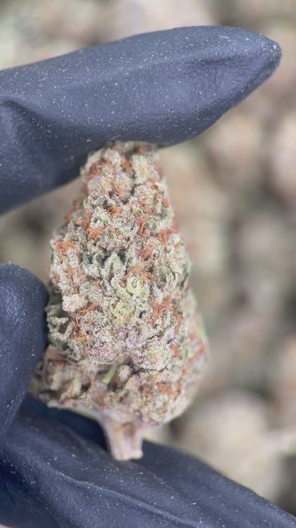 GRAPE CAKE