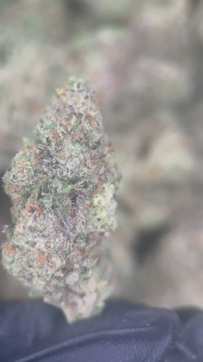 GRAPE CAKE