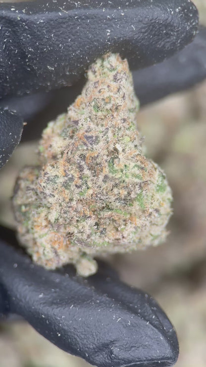 PURPLE POPSICLE