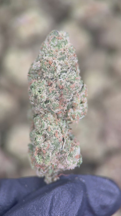 BLUEBERRY CAVIAR