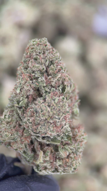 BERRY PIE