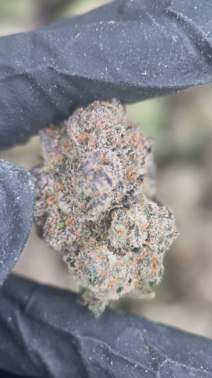 BUBBLEGUM CANDY