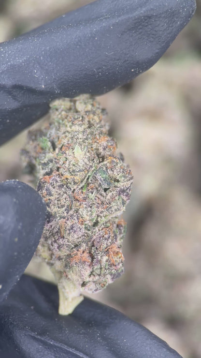 PURPLE POPSICLE