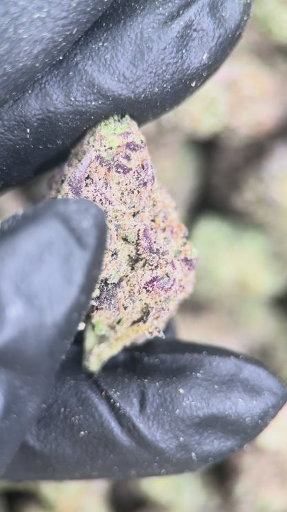 GRANDDADDY CANDY