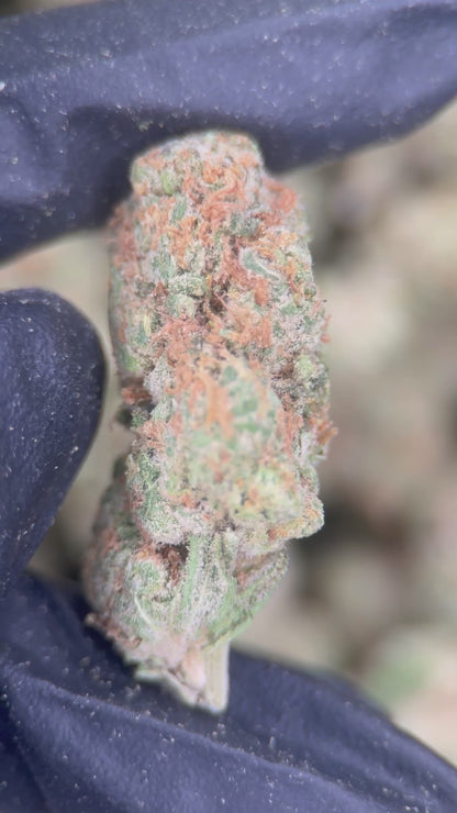 BUBBLE BOMBZ