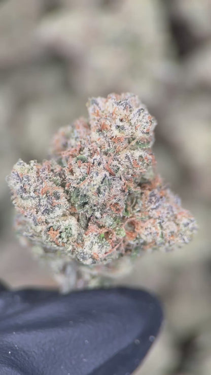 CHERRY ZPRITE