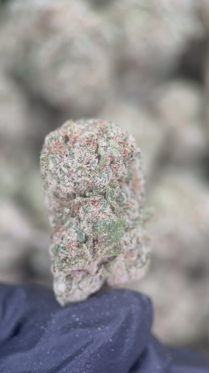 BLUEBERRY SODA