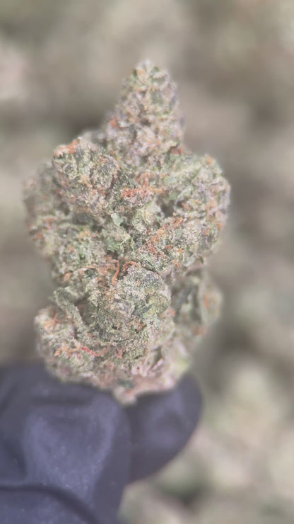CARBON COOKIES