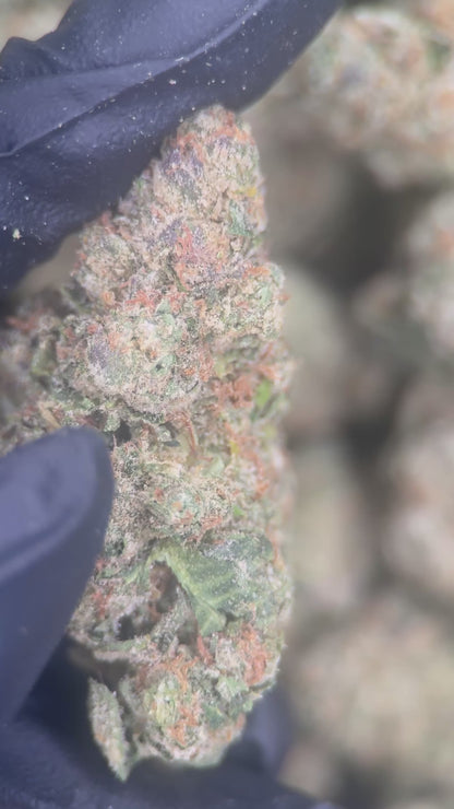 CRUNCH BERRY