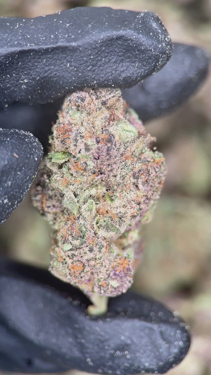PURPLE MILK