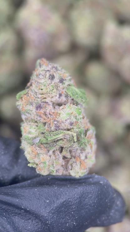 BLOW POPZ