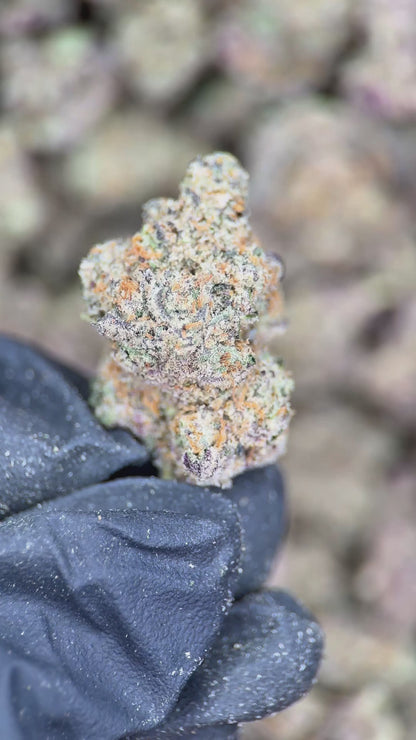 FROSTED FLAKES
