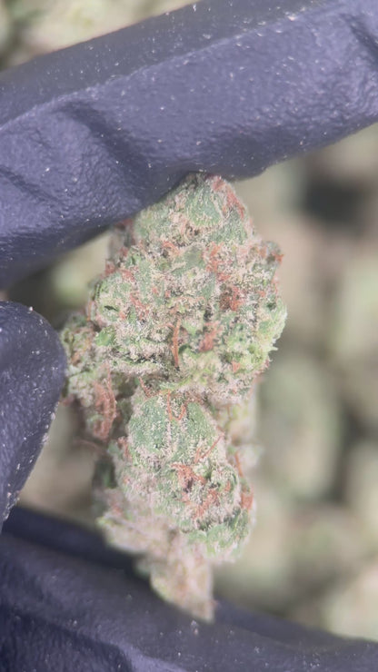 GRAPE CANDY SODA