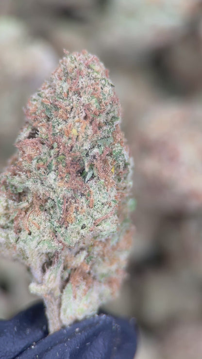 STRAWBERRY LEMONADE