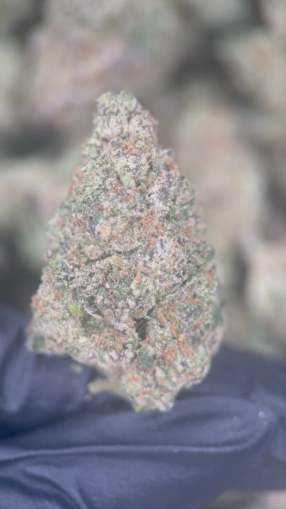 FROSTED CANDIES