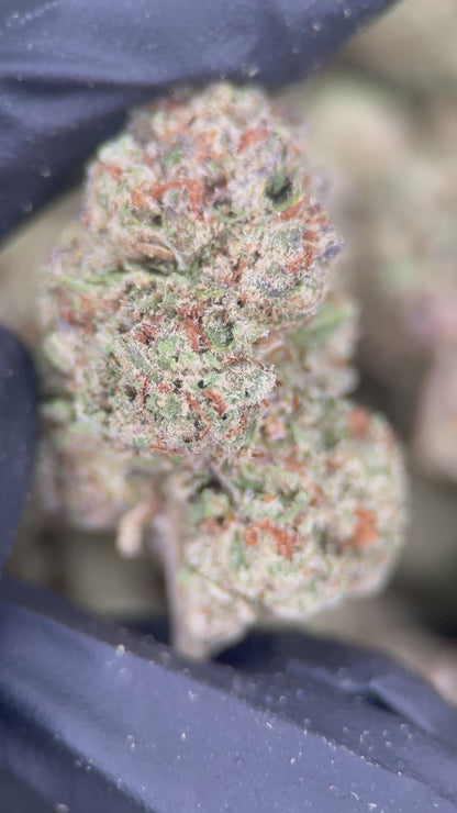 LEMON KUSH