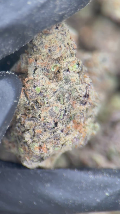 JOLLY RANCHERS