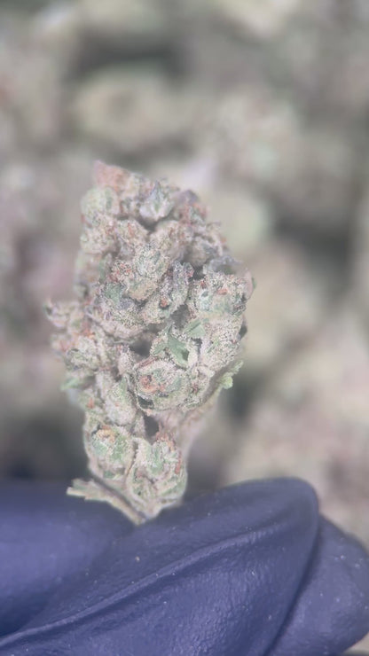 GRAPE CANDY SODA