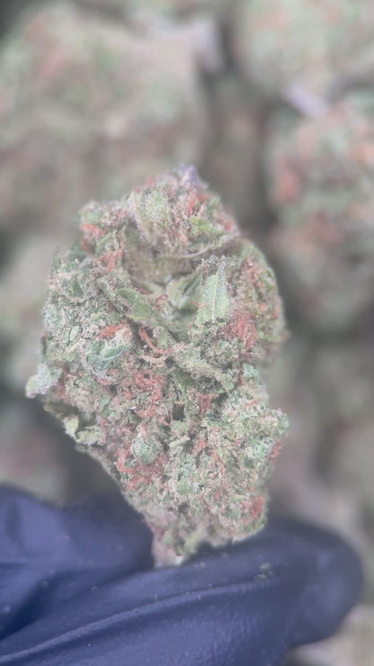 BERRY PIE
