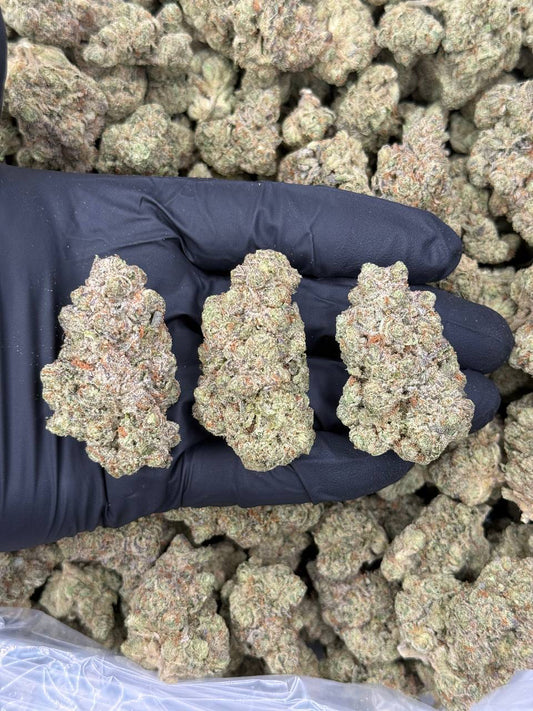 SOUR POISON